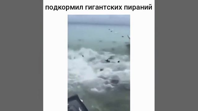 Огромные пираньи смотреть онлайн