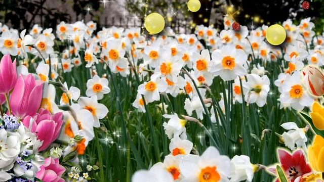 Наступает месяц май. Счастливого мая, друзья.mp4 смотреть онлайн