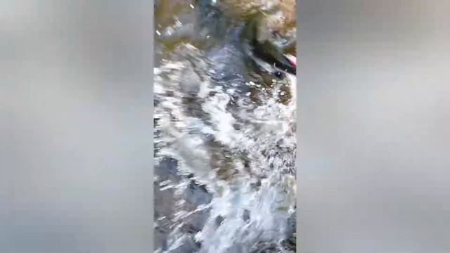 Тутто Совгавань горбуша смотреть онлайн