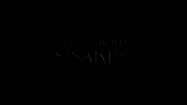 Snakes - Wild About 3/13 - Go Wild смотреть онлайн