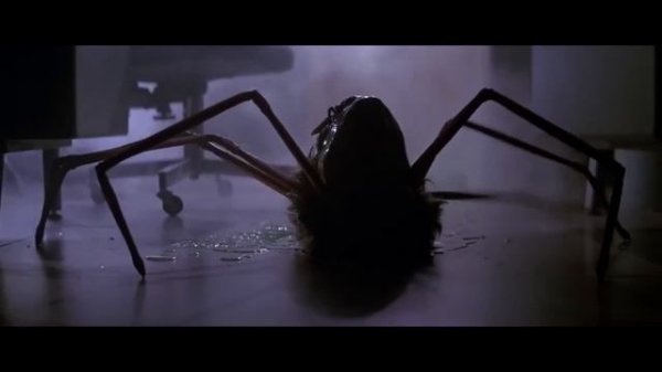 Creating The Illusion