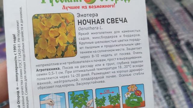 # 285. Семена цветов 2024. Не удержалась и купила ещё 😄 Загородная жизнь с нуля 2024 смотреть онлайн