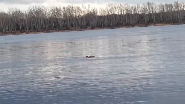 запускаем рыболовные саночки. Гуляем по берегу Енисея. Клева ноль. смотреть онлайн