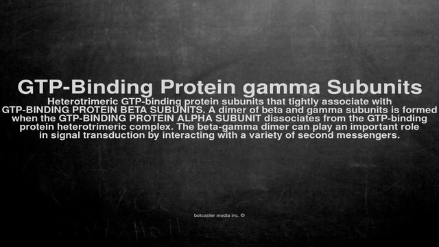 Medical vocabulary: What does GTP-Binding Protein gamma Subunits mean смотреть онлайн