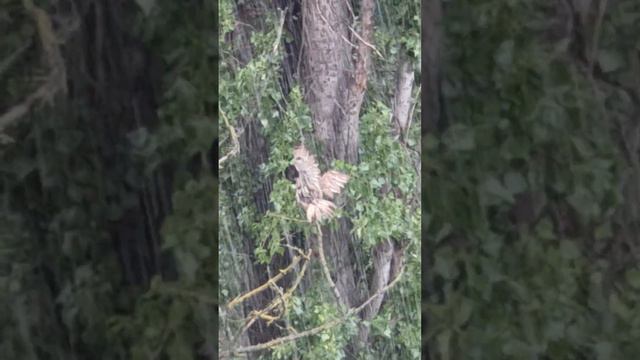 Погода в ОДЕССЕ СЕГОДНЯ 🥳💧☔️🙃НЕЛЁТНАЯ смотреть онлайн