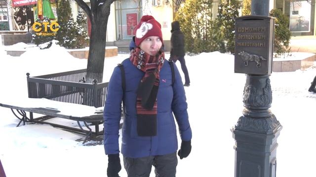 В Челябинске появилась уличная копилка для помощи собакам и кошкам смотреть онлайн