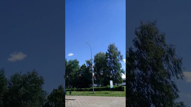 "Купаться запрещено" А почему? Оказалось всё просто смотреть онлайн
