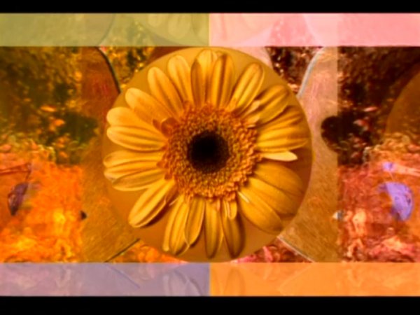 Сила цветов (Flower Power)