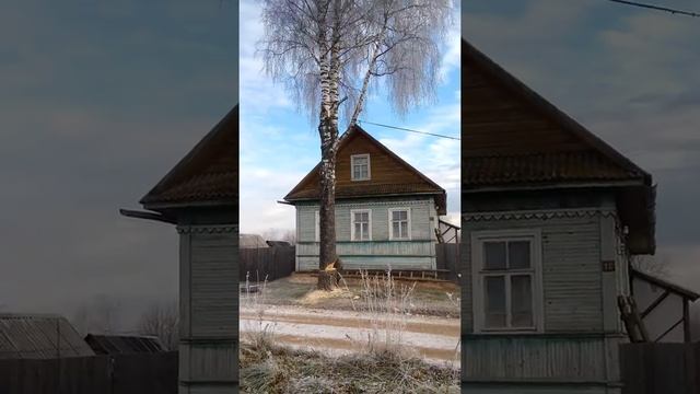 Дядя Пилит дерево смотреть онлайн