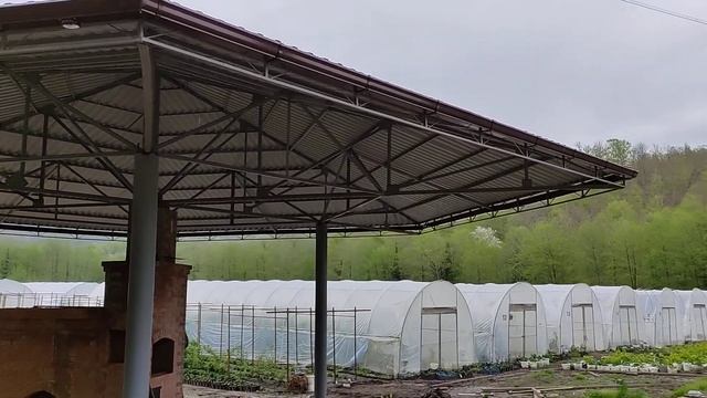 сделал этот шестигранный навес в одиночку. смотреть онлайн