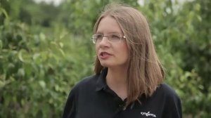 Дієві продукти природнього походження: Проклейм та Вертімек