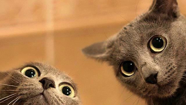 Вот это любовь! Очень душевная песня. Послушайте! смотреть онлайн