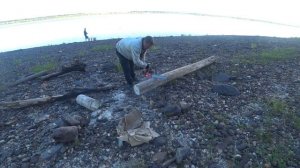 Рыбалка на Северной Двине.#ВерхняяТойма #ЛЕЩ #рыбалка