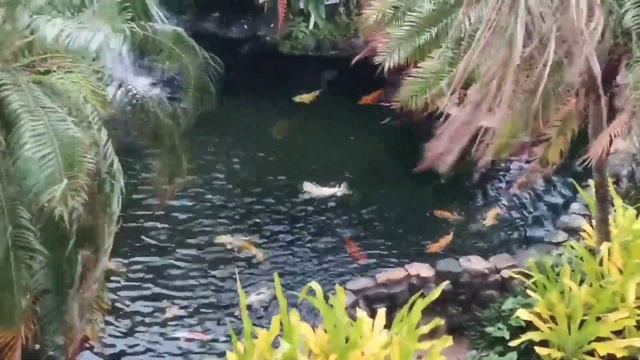 Красивое, молодое тело. Медитация Тета Хилинга смотреть онлайн