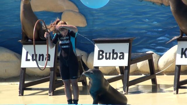 Palma de Mallorca-Marineland show,part 1 HD смотреть онлайн