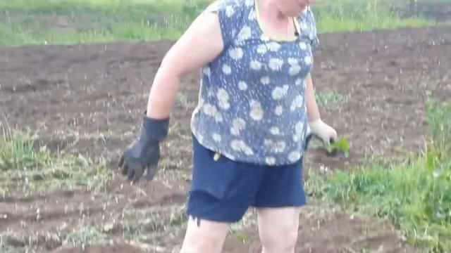 Хорошо в Давыдово ... смотреть онлайн