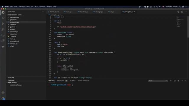 Aerospike CacheDB In Apps - Speed of a Cache, Resilience of a DB смотреть онлайн