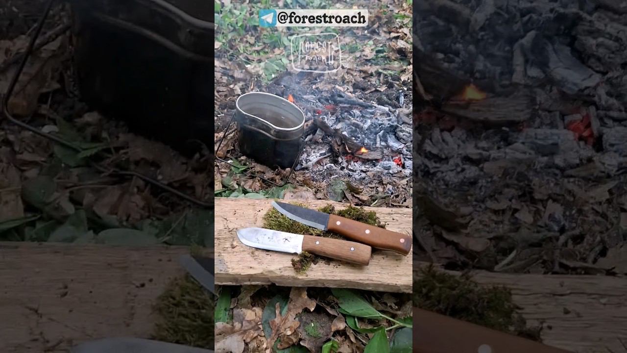 ЛЕСНОЙ КУХОННИК!? #бушкрафт #выживание #wood #bushcraft #survival #ковка #woodworking #forest #diy смотреть онлайн