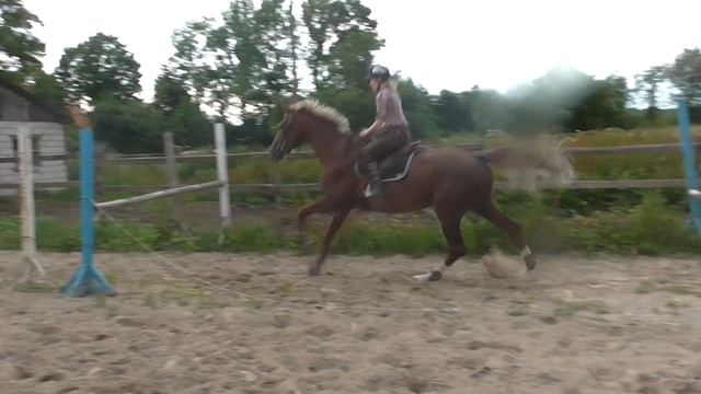 Эрзерум 002 смотреть онлайн