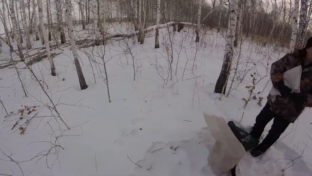 Кормушка в лесу для диких животных смотреть онлайн