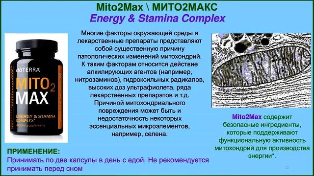 Мито 2 макс mito2max смотреть онлайн
