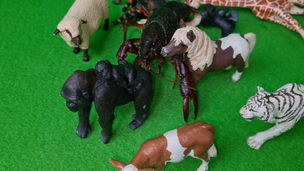 Игрушки: Фигурки Зверушки, Горилла, Черепаха, Паук, Лиса, Белочка SCHLEICH / детский канал игрушек