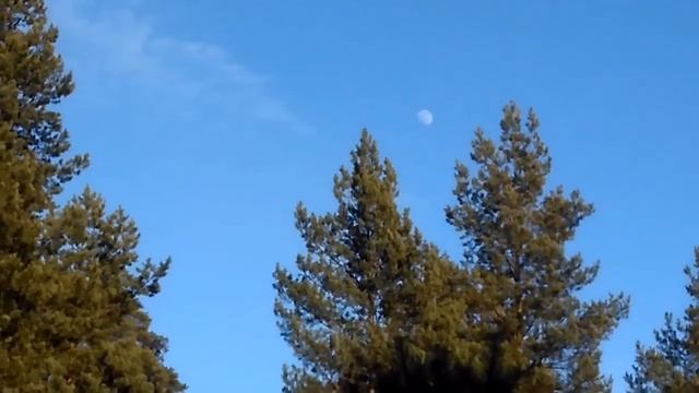 Луна и Солнце-одновременно!!!?? смотреть онлайн