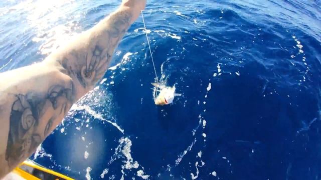 DEEP SEA FISHING FROM MY JETSKI Searching For Great White Sharks (Whales And Sea Snakes) - Ep 85 смотреть онлайн