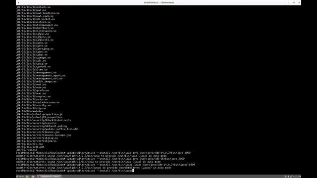 Install Netbeans 12.3 & JDK 16 on Linux Debian / Installation von Netbeans 12.3 & JDK 16 in Debian смотреть онлайн