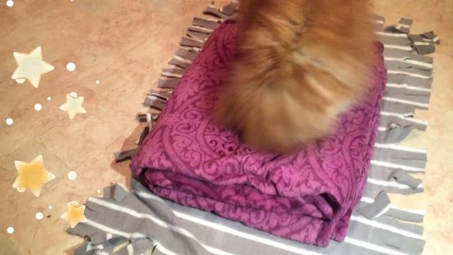 ЛЕЖАНКА ДЛЯ СОБАКИ ЗА 5 МИНУТ смотреть онлайн