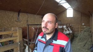 Выбор трактора для небольшого хозяйства