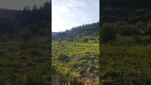 Горы-ступени в небо. Поднимаясь по ним, я иду к новой жизни... смотреть онлайн