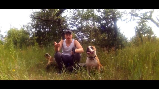 Наджарян ДНО в собакаводстве смотреть онлайн