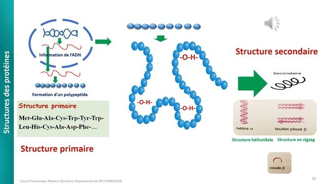 Cours protéomique-niveaux des structures des protéines-Master1-Biochimie-BPC-elearning-Moodle-USDB смотреть онлайн