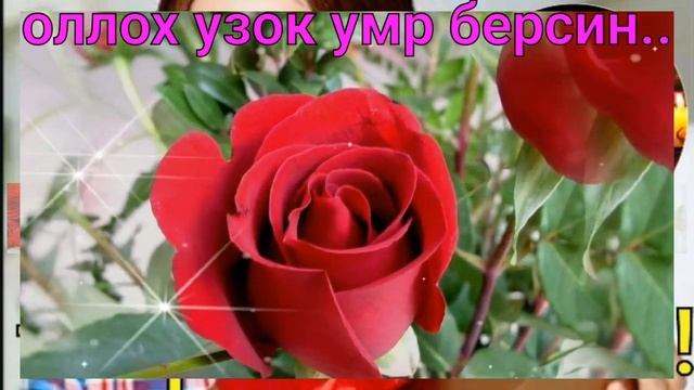 тугилган кун табрик смотреть онлайн