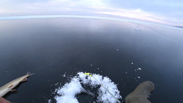 Зимняя рыбалка на щуку. Ловля щуки на балансир. Рыбалка на щуку. смотреть онлайн