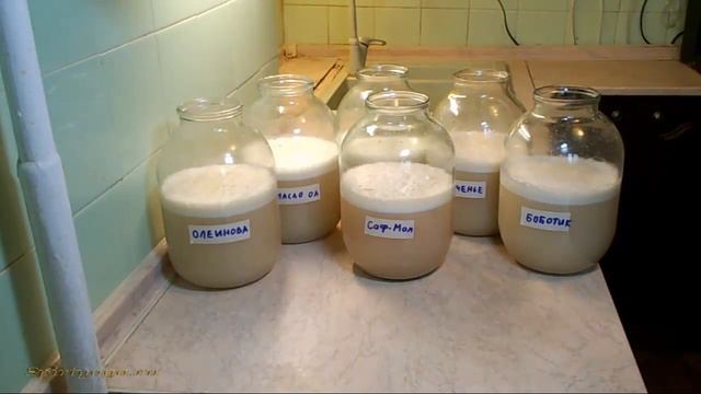 Пеногаситель для браги. смотреть онлайн