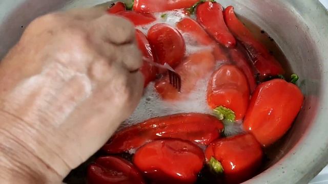 Мир грибов: лесные приключения