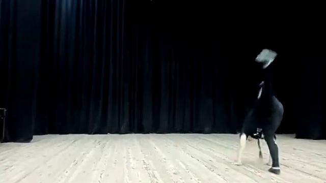 капоэйра смотреть онлайн