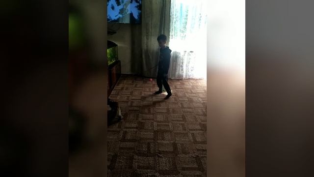 Ловля мышей , котëнок мейн-кун охотник (4 месяца) смотреть онлайн