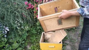 Самодельная простая, удобная роевня
