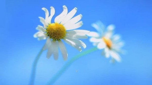 Видеообзор от iXBT.com - ультратонкий ноутбук ASUS