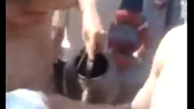 практика первый курс скорочкин смотреть онлайн