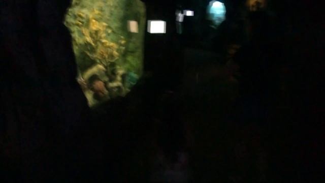 Океанариум | Underwater World Pattaya | Паттайя