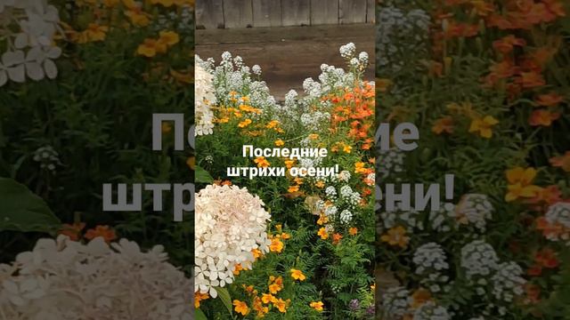 25 сентября 2022 г. смотреть онлайн