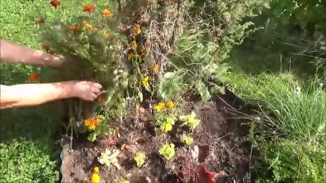 Дачный влог. Яйца в МВ.Тонины елочки.День посадок.Три газонокосилки.Подпорки для цветов. смотреть онлайн