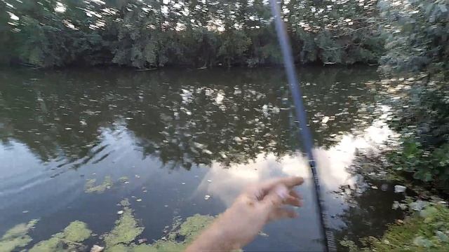 А засеклась то за самый краешек.Ловля Щуки на спиннинг летом. смотреть онлайн