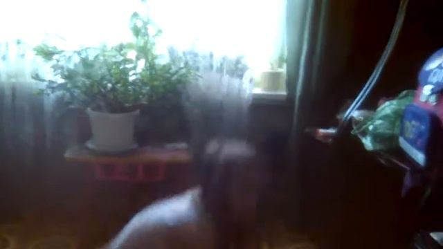 Челендж живот 2 смотреть онлайн