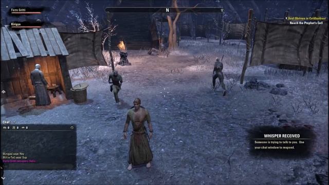 Elder Scrolls Online Beta Episode 1 (PC 1080p) смотреть онлайн