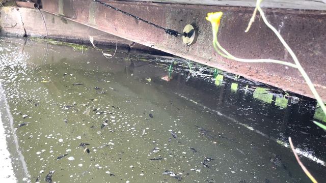 Эпизод 4. Поисковый магнит. Потеря рядового Прилипалы! смотреть онлайн